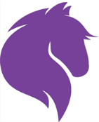 1672166981798.png